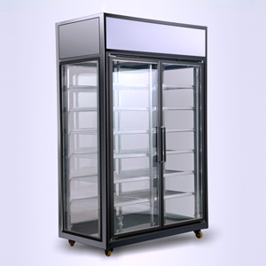 congelateur vitrine