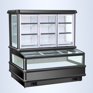 vitrine de congÉlation