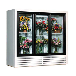 chambre froide pour fleuriste