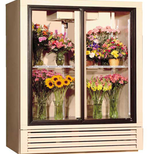 Double porte frigo fleuriste