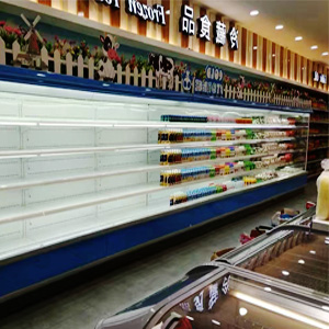 vitrine réfrigérée verticale faible profondeur