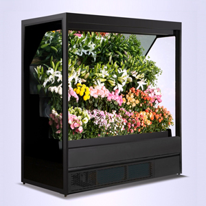 frigo pour fleuriste